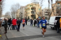 lidense_pino_252