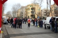 lidense_pino_263