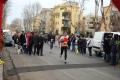lidense_pino_264
