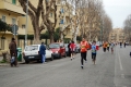 lidense_pino_339