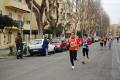 lidense_pino_340