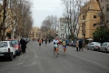 lidense_pino_378