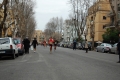 lidense_pino_392