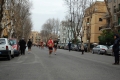 lidense_pino_393