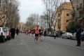 lidense_pino_394