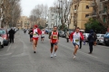 lidense_pino_454