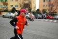 lidense_pino_488