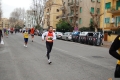 lidense_pino_534