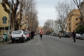 lidense_pino_582