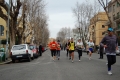 lidense_pino_593