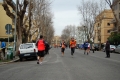 lidense_pino_599
