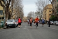 lidense_pino_601
