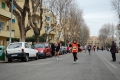 lidense_pino_629