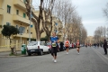 lidense_pino_651