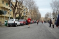 lidense_pino_657