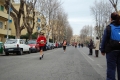 lidense_pino_658