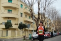 lidense_pino_664