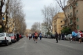lidense_pino_681