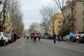 lidense_pino_682