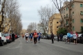 lidense_pino_683