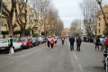lidense_pino_708