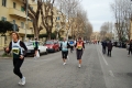lidense_pino_713