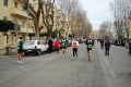 lidense_pino_724