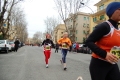 lidense_pino_733