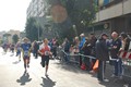tiburtino2010+1705
