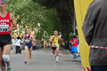 salvatori_ostia_0340