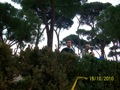 ciani_6891