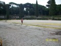 ciani_6901