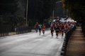 trecomuni10_0021