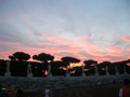 cristofaro6571