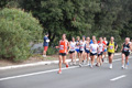 romostia_7362