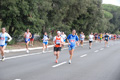 romostia_7393