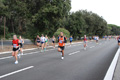 romostia_7541