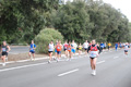 romostia_7565