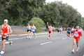 romostia_7595
