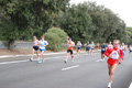 romostia_7596