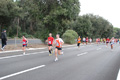 romostia_7844