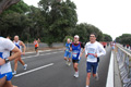 romostia_7892