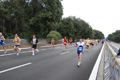 romostia_7939