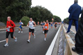 romostia_7955