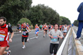 romostia_8030