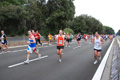 romostia_8034