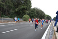 romostia_8153