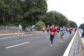 romostia_8154