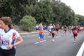 romostia_8402