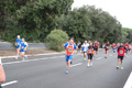 romostia_8403